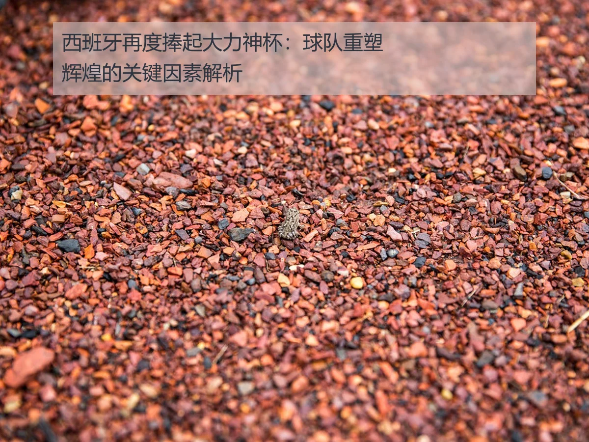 西班牙再度捧起大力神杯：球队重塑辉煌的关键因素解析